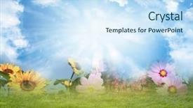  Presentation with sky blue - Cool new presentation with assorted flowers grass and blue backdrop and a  colored foreground