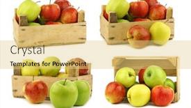  Presentation with wooden - PPT layouts featuring assorted-fresh-apples background and a yellow colored foreground