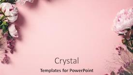  Presentation with valentine wedding border - Cool new PPT layouts with assorted-pink-flower-border backdrop and a lemonade colored foreground