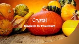  Presentation with rustic - PPT layouts enhanced with assorted pumpkins and squashes on rustic wooden table background and a crimson colored foreground