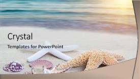  Presentation with sea shells - Slide deck having assorted starfish and sea shells background and a light gray colored foreground