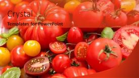  Presentation with tomato - Cool new slide deck with assorted-variety-of-tomato backdrop and a red colored foreground