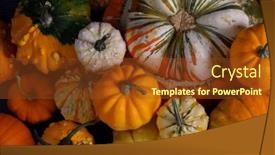  Presentation with autumn - Cool new theme with assortiment-of-autumn-harvested-pumpkins backdrop and a tawny brown colored foreground
