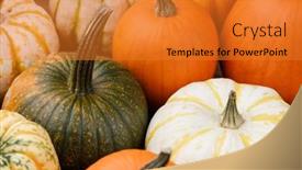  Presentation with autumn - Amazing presentation theme having assortiment-of-autumn-harvested-pumpkins backdrop and a gold colored foreground