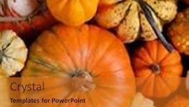  Presentation with autumn - PPT theme with assortiment-of-autumn-harvested-pumpkins background and a gold colored foreground