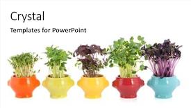  Presentation with container - Slides featuring assortment fresh garden cress background and a  colored foreground