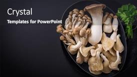  Presentation with rich - Slides with assortment-of-edible-mushrooms-rich background and a dark gray colored foreground