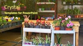  Presentation with nursery - Theme with assortment-of-indoor-plants background and a tawny brown colored foreground