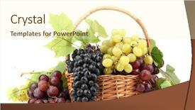  Presentation with grape vine black grapes - Presentation with assortment of ripe sweet grapes background and a cream colored foreground