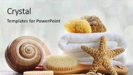  Presentation with sponges - Cool new PPT layouts with assortment of spa brushes backdrop and a light gray colored foreground