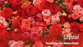  Presentation with card holiday flowers abstract - Cool new theme with aster - abstract background of flowers backdrop and a crimson colored foreground