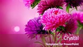  Presentation with art - PPT layouts consisting of aster autumn flowers art design background and a violet colored foreground