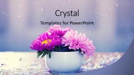  Presentation with flowers - Slide set with aster flowers and falling petals background and a light gray colored foreground