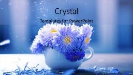  Presentation with pink flowers - PPT layouts with aster flowers and falling petals background and a light blue colored foreground