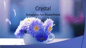  Presentation with pink petal flower animated - Audience pleasing PPT layouts consisting of aster flowers and falling petals backdrop and a teal colored foreground