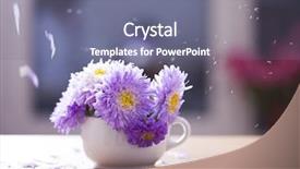  Presentation with pink petal flower animated - Amazing slide deck having aster flowers and falling petals backdrop and a gray colored foreground