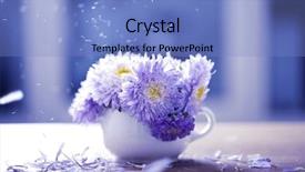  Presentation with pink flowers - Amazing slide set having aster flowers and falling petals backdrop and a light blue colored foreground