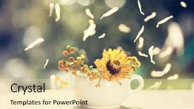  Presentation with flowers - Beautiful slides featuring aster flowers and falling petals backdrop and a lemonade colored foreground