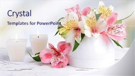  Presentation with flowers vase - PPT theme featuring alstroemeria flowers in vase background and a sky blue colored foreground