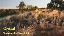  Presentation with outback australia - Colorful PPT theme enhanced with astrelia extreme weather - outback landscape - kings canyon backdrop and a  colored foreground