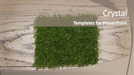  Presentation with green grass artificial top - Colorful slide deck enhanced with astroturf - artificial grass close up backdrop and a coral colored foreground