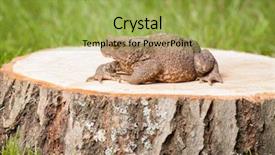  Presentation with green tree - Amazing PPT theme having asuransi - frog on the tree stump backdrop and a yellow colored foreground