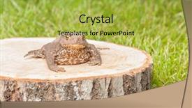  Presentation with green tree - PPT theme having asuransi - frog on the tree stump background and a yellow colored foreground