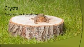  Presentation with green tree - Amazing PPT theme having asuransi - frog on the tree stump backdrop and a gold colored foreground