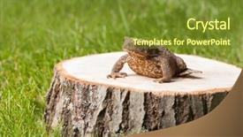  Presentation with green tree - Presentation design enhanced with asuransi - frog on the tree stump background and a tawny brown colored foreground