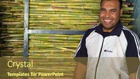  Presentation with sugar cane - 