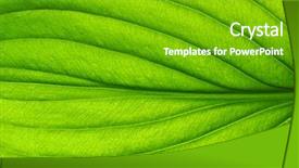  Presentation with green abstract leaves texture - Colorful slide deck enhanced with planning ideas mission planning process backdrop and a white colored foreground