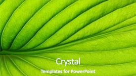  Presentation with green watercolor paper texture - Slide deck with asymmetry - close up of green leaf background and a  colored foreground