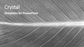  Presentation with perfect - Beautiful PPT theme featuring asymmetry - perfect leaf texture close up backdrop and a  colored foreground