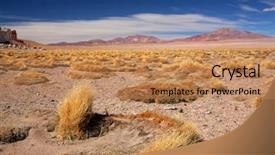  Presentation with salt lake temple - Beautiful PPT layouts featuring atacama - altiplano grass paja brava close backdrop and a  colored foreground