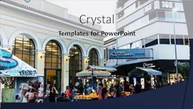  Presentation with flea - 