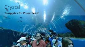  Presentation with georgia aquarium - 