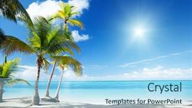  Presentation with caribbean - Slides having atlantic ocean - caribbean sea and coconut palms background and a light blue colored foreground