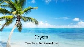  Presentation with atlantic - Presentation theme with atlantic ocean - palm and beach background and a  colored foreground