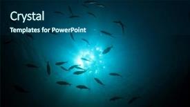  Presentation with fish tuna - Theme with atlantic ocean - tuna fish background and a  colored foreground