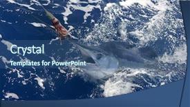  Presentation with sport blue - Cool new theme with beautiful white marlin real bill backdrop and a ocean colored foreground