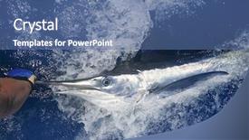  Presentation with eating fish and drink water from pollution oceans - Theme featuring rich ruler - crown on helmet isolated render background and a yellow colored foreground