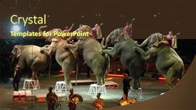  Presentation with circus - Theme featuring atmosphere-at-the-ringling-bros background and a tawny brown colored foreground
