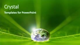  Presentation with water leaf - Presentation theme enhanced with atmosphere green globe - world in a drop background and a forest green colored foreground