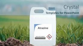  Presentation with sugarcane - Slide set having atrazine-herbicide-used-on-corn background and a light blue colored foreground