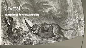  Presentation with amazon jungle - Audience pleasing PPT layouts consisting of  backdrop and a  colored foreground