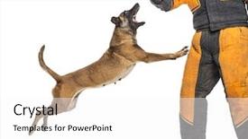  Presentation with trainer - Audience pleasing slide deck consisting of attack trainer wearing body backdrop and a white colored foreground