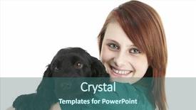  Presentation with black girl sexy fashionable mulatto - Audience pleasing presentation theme consisting of attactive - girl with black spaniel puppy backdrop and a  colored foreground