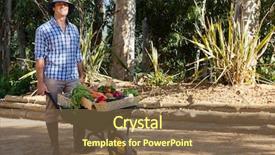  Presentation with fresh fruits vegetables heart - PPT theme with attactive - portrait of happy farmer holding background and a violet colored foreground