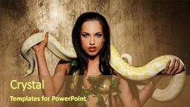  Presentation with python - Colorful theme enhanced with attractive brunette woman with python backdrop and a tawny brown colored foreground