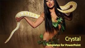  Presentation with python - Colorful PPT theme enhanced with attractive brunette woman with python backdrop and a tawny brown colored foreground